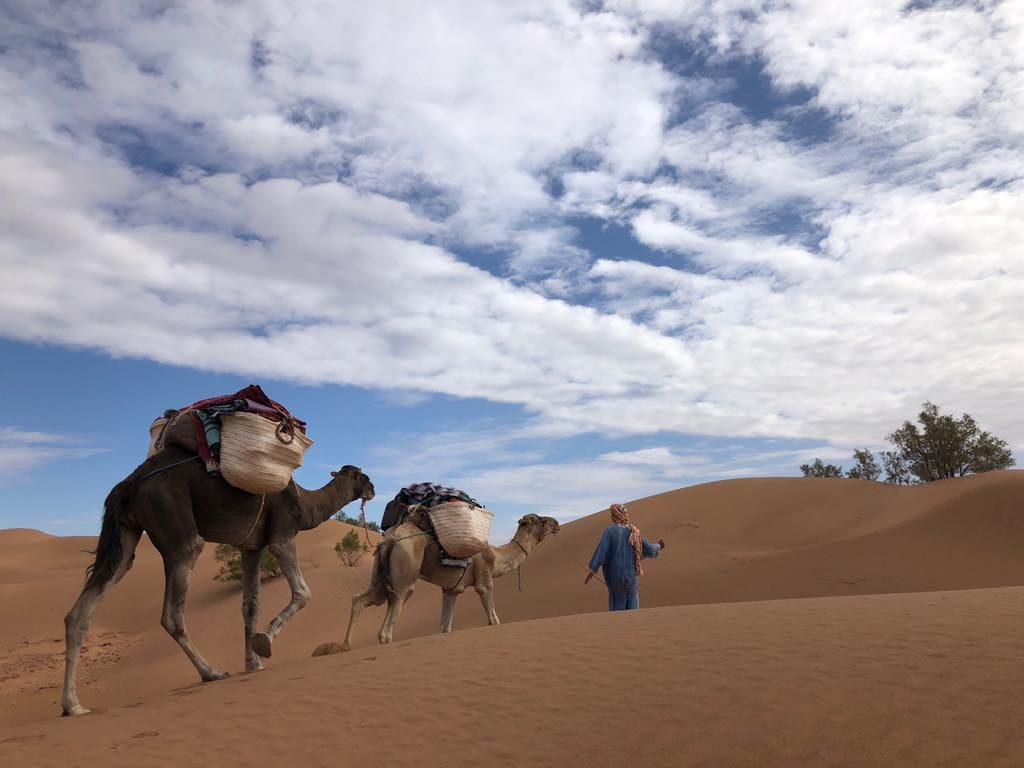 yoga retreat desert morocco
