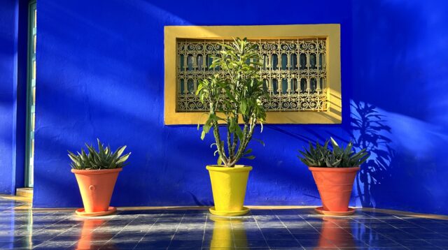 Majorelle Yoga Retreat Revealing Vajra