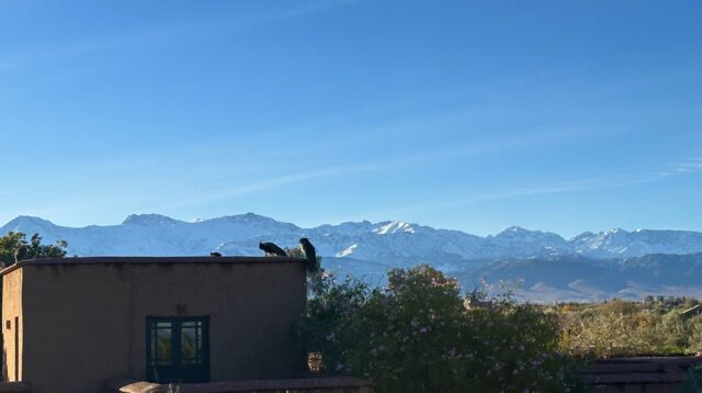 Meditation retreat in Morocco focused on nervous system regulation and manifestation